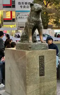 Tokyo, photo 1