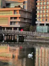 Tokyo, photo 3