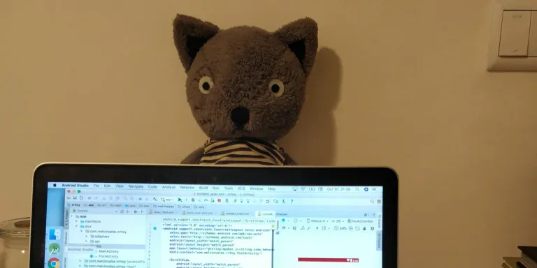 coding friend (2017)
